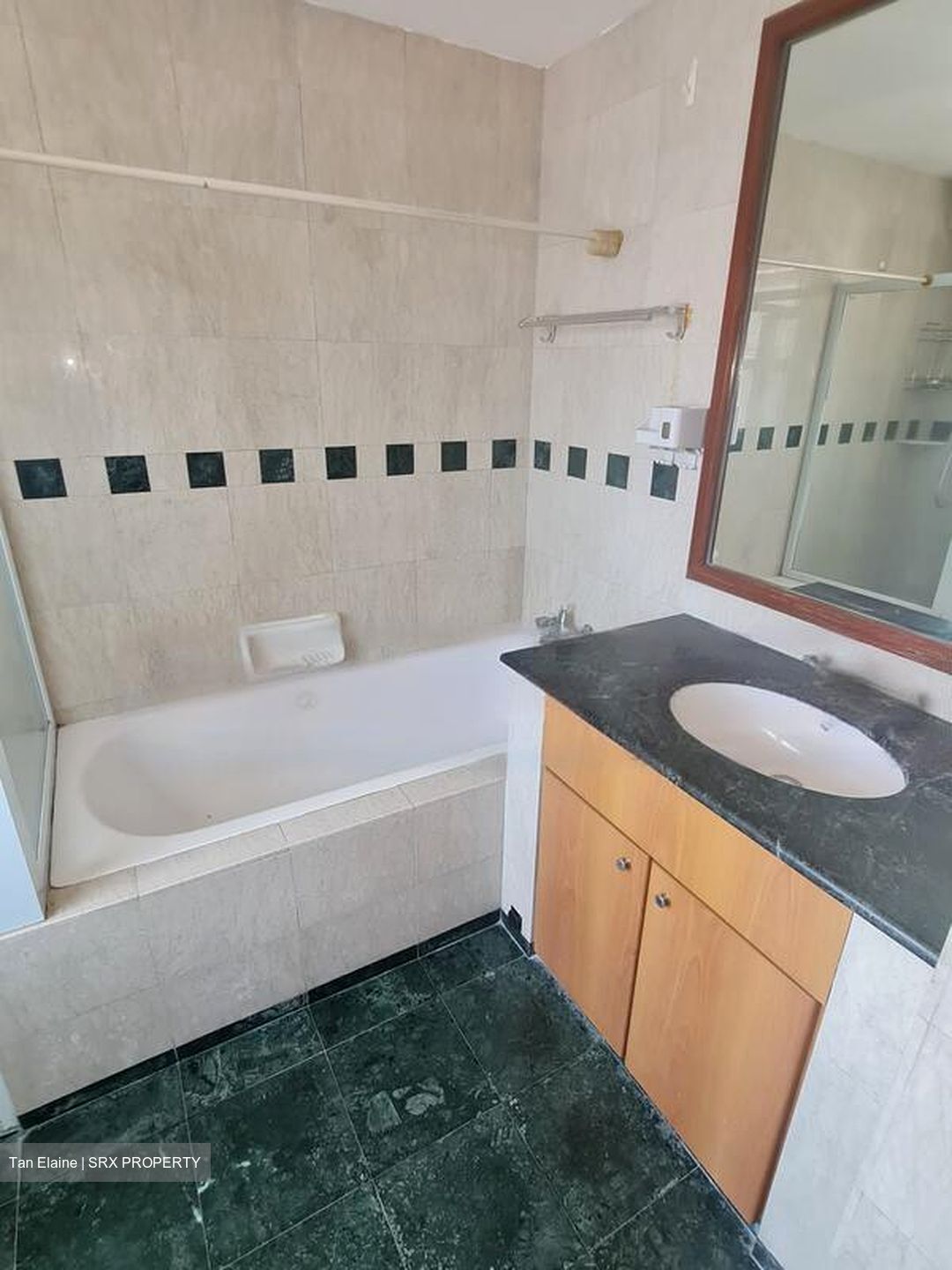 Evergreen Park (D19), Apartment #464234621